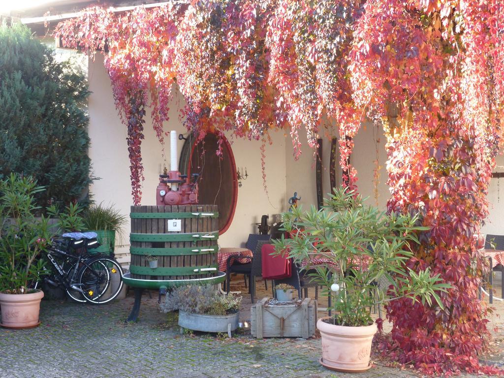 Weingut-Brennerei-Gaestehaus Emil Dauns Reil Exterior foto